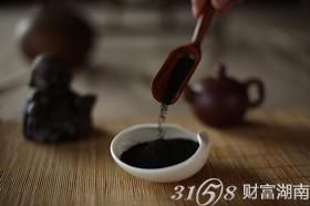 福音山养生茶发扬养生文化